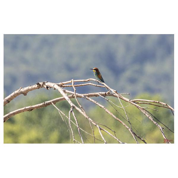 PHOTO84, CLUB, 84 , LUBERON